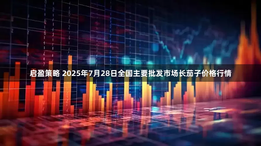启盈策略 2025年7月28日全国主要批发市场长茄子价格行情