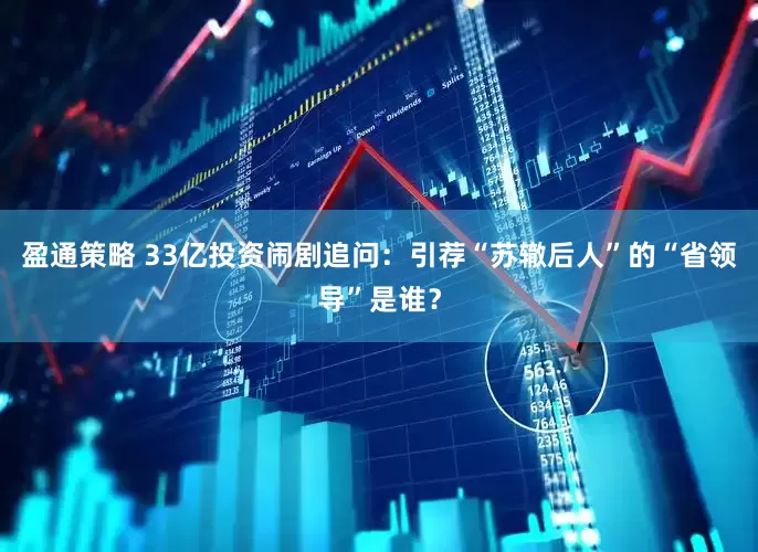 盈通策略 33亿投资闹剧追问：引荐“苏辙后人”的“省领导”是谁？