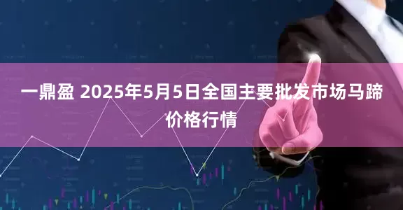 一鼎盈 2025年5月5日全国主要批发市场马蹄价格行情